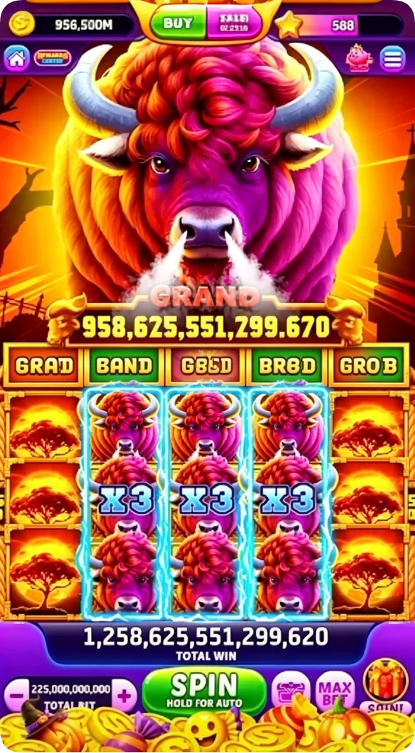 Review Aplikasi coo77 2
